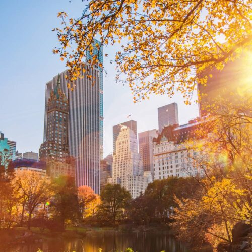 New York City in autumn