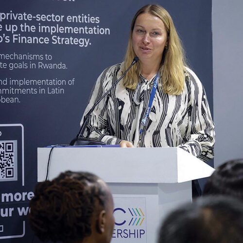 laetitia de marez at cop27