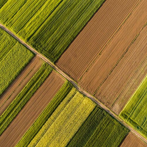 aerial view of farmland